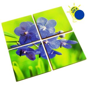 Azulejos cuadrados de uso decorativo